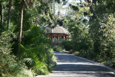 Royal Botanic Gardens Victoria - Accommodation Sydney 0