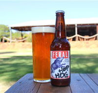 Feral Brewing Company - Sydney Resort