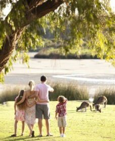 Yanchep National Park - Bushwalking Trails - Accommodation Sydney 0