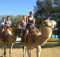 Calamunnda Camel Farm - Sydney Resort