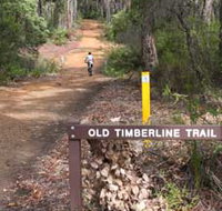 Old Timberline and Sidings Rail Trails - Accommodation Sydney