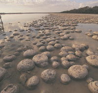 Lake Clifton Thrombolites - Sydney 4u