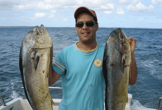 Jervis Bay Fishing and Charters - Accommodation Sydney
