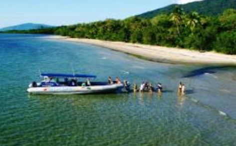 Cape Tribulation QLD Sydney 4u