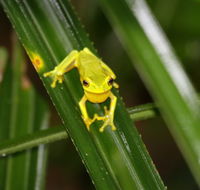 Daintree River Cruise Centre - Sydney 4u