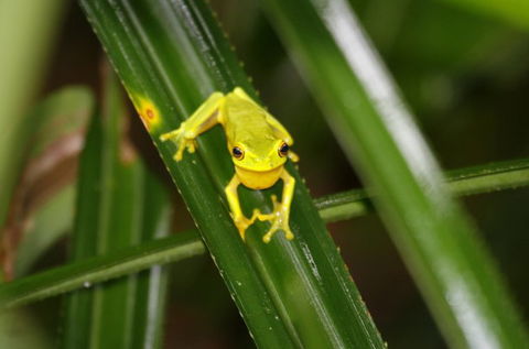 Daintree River Cruise Centre - Sydney 4u 0