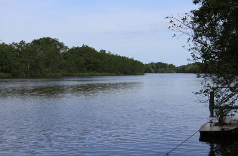 Daintree River Cruise Centre - Sydney 4u 2