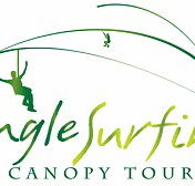 Jungle Surfing Canopy Tours and Jungle Adventures Nightwalks - Sydney 4u