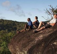 Cooktown Aboriginal Art Tours - Accommodation Sydney