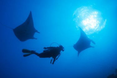 Adrenalin Snorkel And Dive - Accommodation Sydney 1