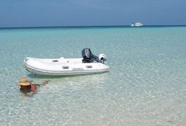 Adrenalin Snorkel And Dive - Accommodation Sydney 4