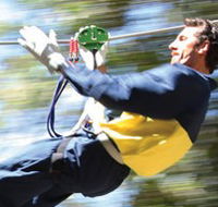 Adventure Parc - Sydney 4u