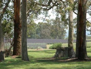 Greenlands QLD Sydney Resort
