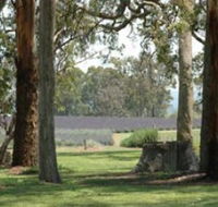 Aloomba Lavender - Sydney Resort