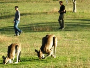 Southern Queensland Country QLD Accommodation Sydney