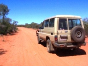 Araucaria Ecotours - Sydney Resort 2