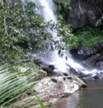 Araucaria Ecotours - Sydney Resort 4