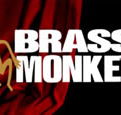 The Brass Monkey - Accommodation Sydney