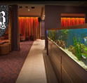 AB Hotel - Accommodation Sydney