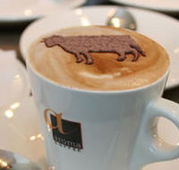 Brown Cow - Sydney 4u