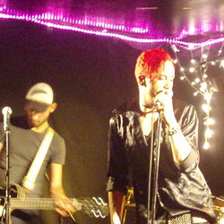 The Brass Monkey - Accommodation Sydney 1