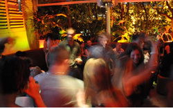 Ivanhoe Hotel - Accommodation Sydney 0