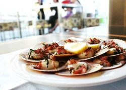 Salt Bar And Restaurant - Accommodation Sydney 1