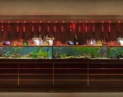 AB Hotel - Accommodation Sydney 2
