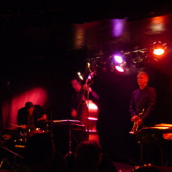 The Brass Monkey - Accommodation Sydney 2