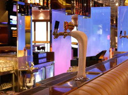 Vegas Hotel - Accommodation Sydney 2