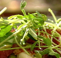 Wild Hearts Cafe Restaurant - Sydney 4u