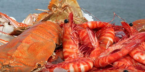 Morgans Seafood Restaurant - Sydney 4u 5