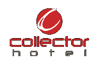 The Collector Hotel - Accommodation Sydney