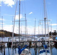 Oyster Cove Inn - Accommodation Sydney