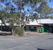 Cedars Tavern - Sydney 4u