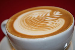  Accommodation Sydney