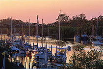 H20 Bar And Bistro - Accommodation Sydney 1