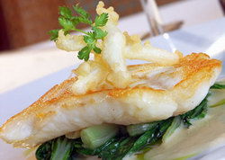 Metropolitan Hotel - Accommodation Sydney 1