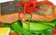 Hot Pipis Restaurant - thumb 1