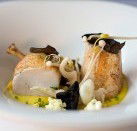 JAM Corner - Accommodation Sydney