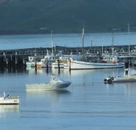 The Apollo Bay Hotel - Sydney 4u