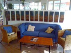 Clifton Capers Bar & Grill - Accommodation Sydney 0