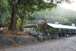 Ellis Beach QLD Accommodation Sydney