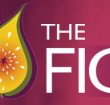 Pickled Fig - Accommodation Sydney