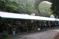 Ellis Beach Bar & Grill - Accommodation Sydney 1