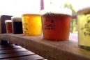 Moody Cow Brewery - Accommodation Sydney 1