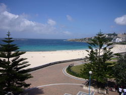 Aquarium - Accommodation Sydney 2