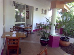 Clifton Capers Bar & Grill - Accommodation Sydney 2