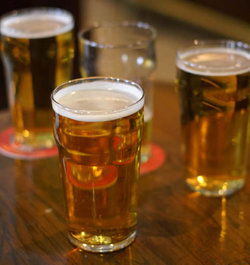 Plough Inn Hotel - Accommodation Sydney 2