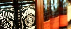 The Whale & Ale - Sydney 4u 2